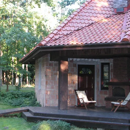 Cozy And Comfortable In The *