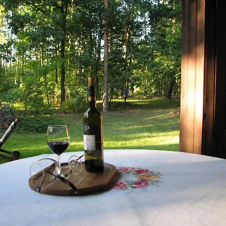 Cozy And Comfortable In The