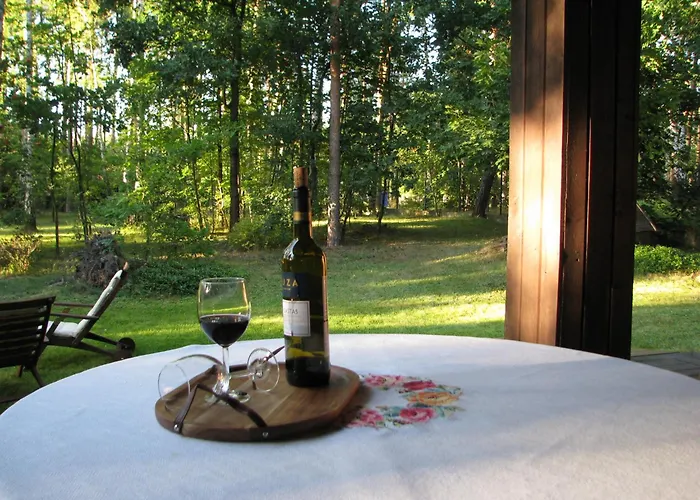 Cozy And Comfortable In The